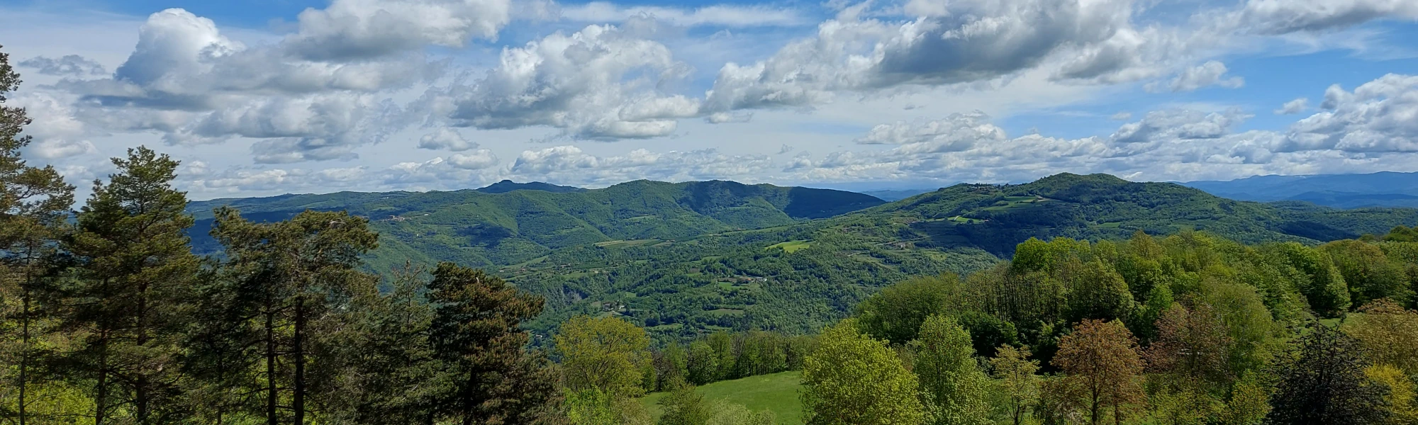 Levicciola Slider langhe